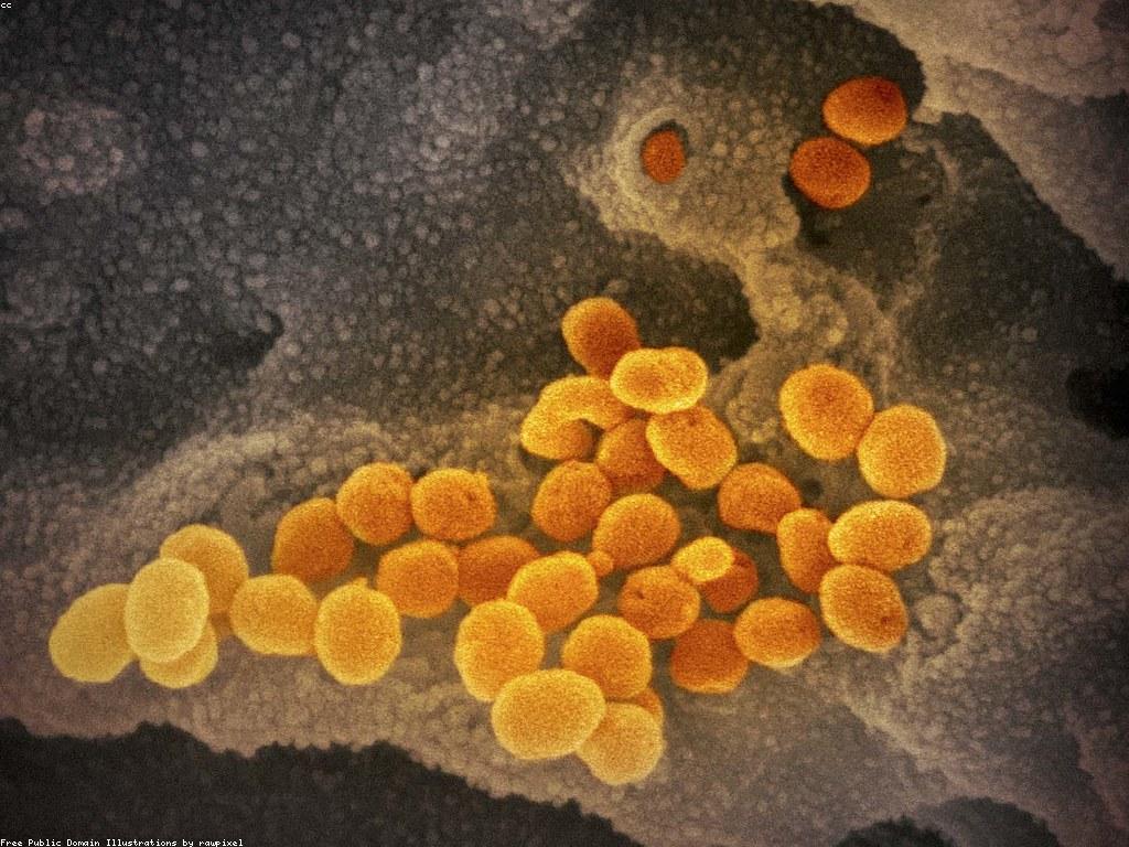 សារៈសំខាន់នៃការយកចិត្តទុកដាក់អំពីសុវត្ថិភាព