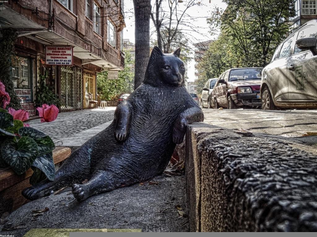 វិធានការពារសុវត្ថិភាពនៅផ្ទះ