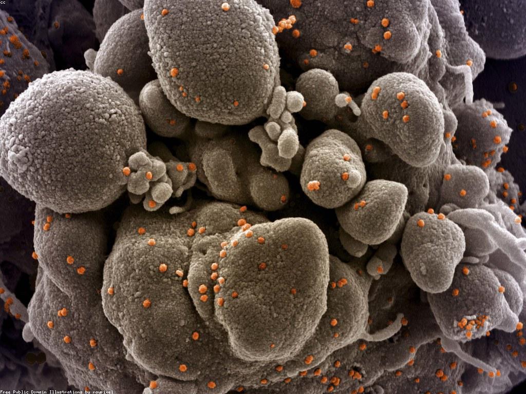 យុទ្ធសាស្ត្រសម្រាប់ការពារសុវត្ថិភាព